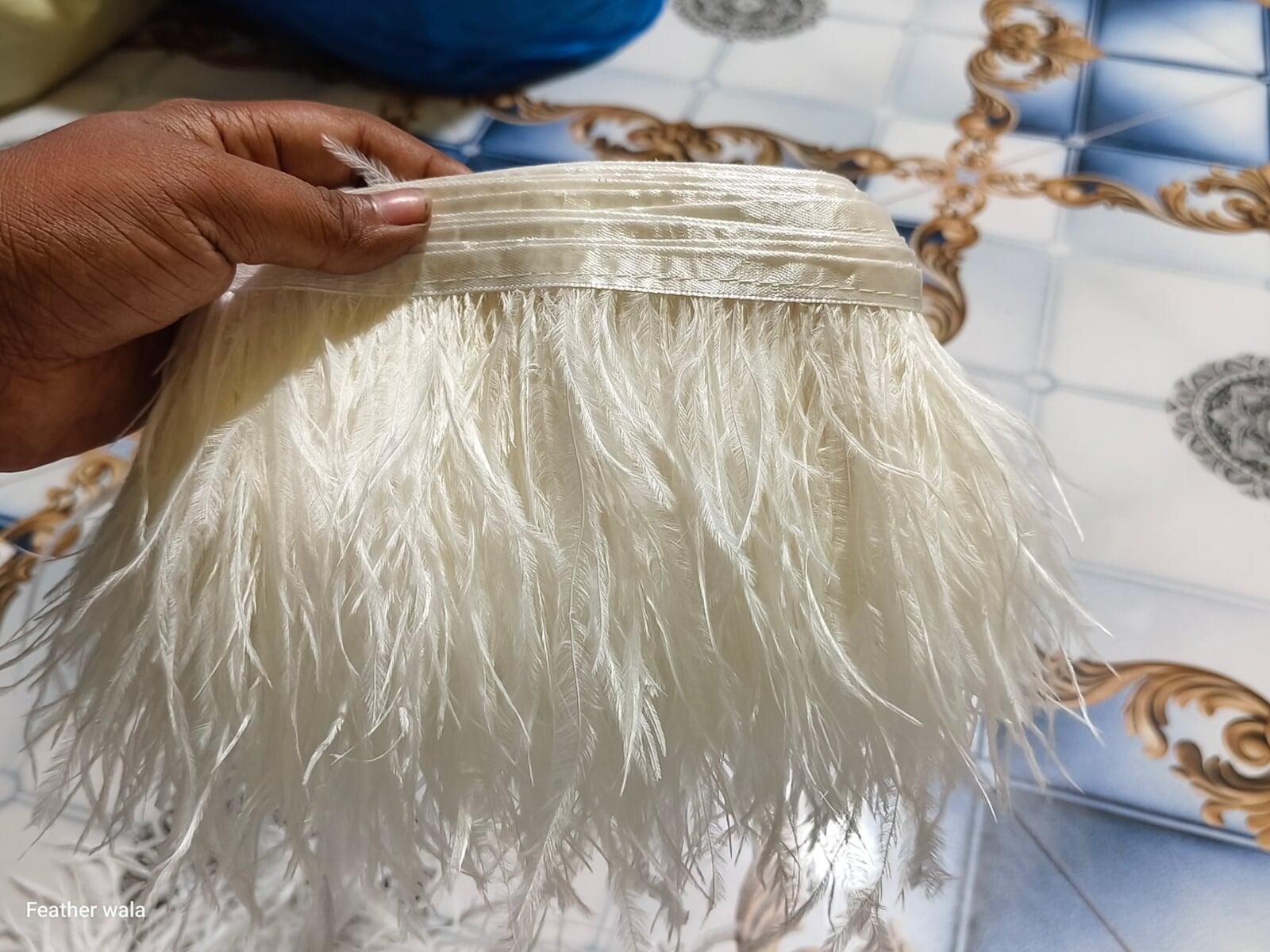 Ostrich feather lace Wholesaler